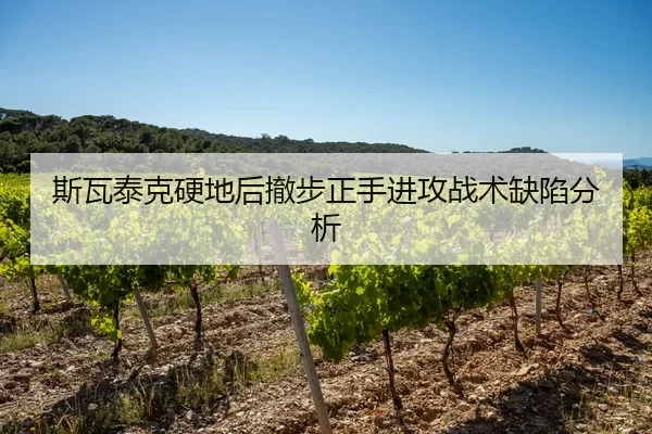 斯瓦泰克硬地后撤步正手进攻战术缺陷分析