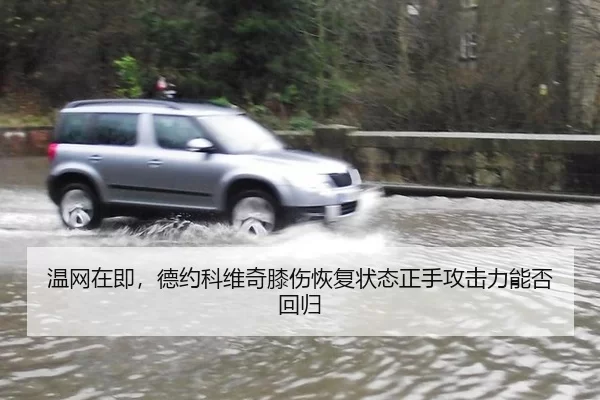 温网在即，德约科维奇膝伤恢复状态正手攻击力能否回归