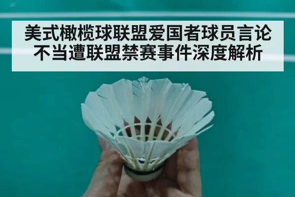美式橄榄球联盟爱国者球员言论不当遭联盟禁赛事件深度解析