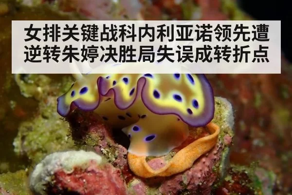 女排关键战科内利亚诺领先遭逆转朱婷决胜局失误成转折点